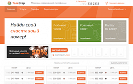 Продвижение сайта оператора IP телефонии TeleStore